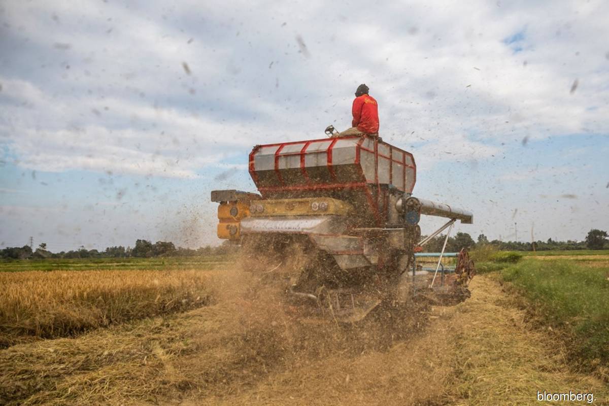 Thailand reaping food export windfall with protectionism rising